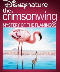 فلم الجناح القرمزي The Crimson Wing Mystery of the Flamingos مدبلج