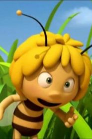 كرتون زينة الحلقة 1 – رقصة النحل