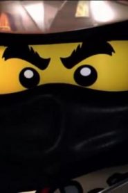 ليغو نينجاغو أبطال السبينجيتسو الجزء الاول الحلقة 10 – النينجا الأخضر