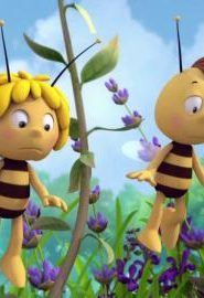 كرتون النحلة مايا الحلقة 26
