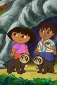 Go Diego Go هيا ديغو هيا مدبلج الحلقة 23