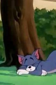 توم وجيري TOM & JERRY DVD الحلقة 34