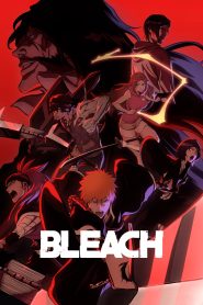 Bleach: Thousand-Year Blood War الموسم 17