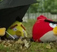 Angry Birds on The Run الموسم 1 الحلقة 15