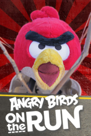 كرتون Angry Birds on The Run مدبلج