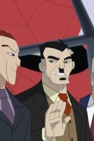 The Spectacular Spider-Man: 2×12
