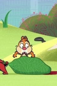 Chip ‘n’ Dale: Park Life: 1×5