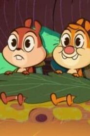 Chip ‘n’ Dale: Park Life: 1×4