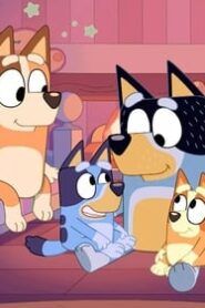 Bluey: 1×48