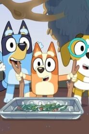 Bluey: 1×13