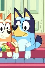 Bluey: 1×1