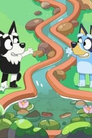 Bluey: 2×31