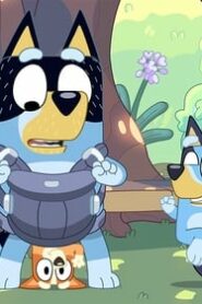 Bluey: 2×13