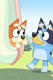 Bluey: 1×15