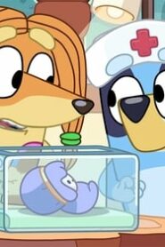 Bluey: 1×40