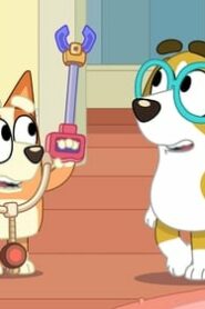 Bluey: 1×18