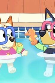 Bluey: 1×22