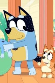 Bluey: 1×16