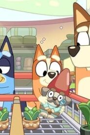 Bluey: 2×2