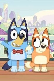 Bluey: 2×19