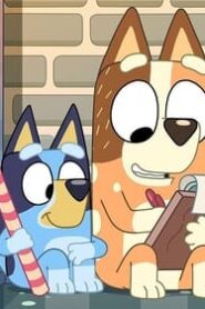 Bluey: 2×14