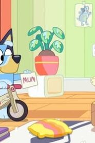 Bluey: 2×36