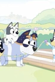 Bluey: 1×9