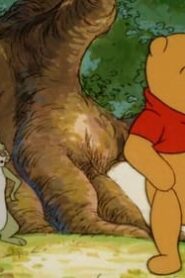 The New Adventures of Winnie the Pooh: 2×7