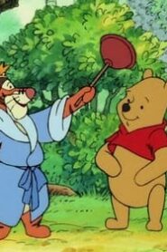 The New Adventures of Winnie the Pooh: 1×24