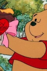 The New Adventures of Winnie the Pooh: 2×8