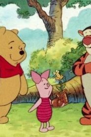 The New Adventures of Winnie the Pooh: 2×15
