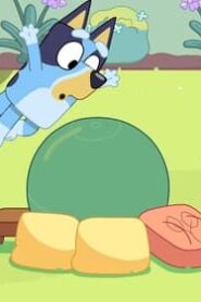 Bluey: 3×3