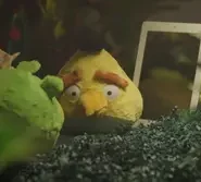 Angry Birds on The Run: 2×2
