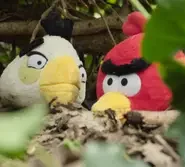 Angry Birds on The Run: 2×4