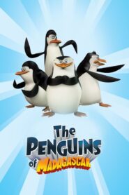 كرتون The Penguins of Madagascar مدبلج عربي
