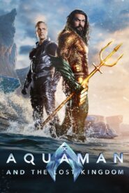 فيلم Aquaman and the Lost Kingdom مترجم عربي