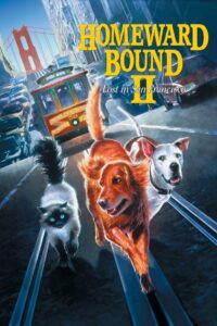 فيلم Homeward Bound II: Lost in San Francisco مدبلج عربي