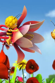 Maya the Bee: 2×19