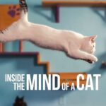 برنامج Inside the Mind of a Cat مترجم عربي