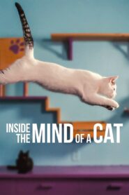 برنامج Inside the Mind of a Cat مترجم عربي