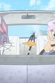The Looney Tunes Show: 1×26