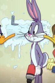 The Looney Tunes Show: 1×24