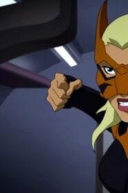 Young Justice: 3×8