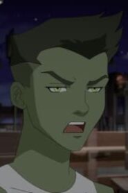 Young Justice: 3×22