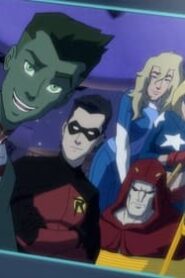 Young Justice: 4×3