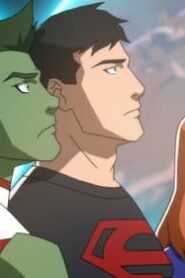 Young Justice: 4×4