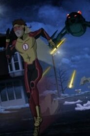 Young Justice: 3×17