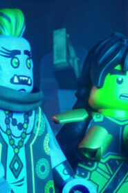 LEGO Ninjago: Dragons Rising: 2×4