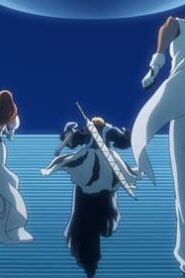 Bleach: 2×27